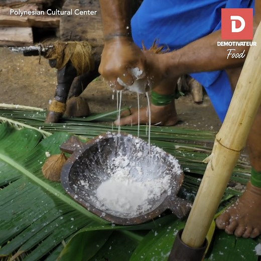 Ce Polynésien explique comment fabriquer son propre lait de coco ! 🥥 🌴 | Demotivateur Food