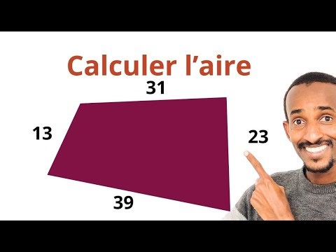 How do you calculate the area of ​​the quadrilateral?