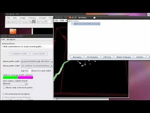 3D Interaction in Simple Neurite Tracer