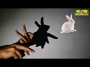 How to make shadow puppets with your hand || Interesting & New Ideas || Shadow Animals ||