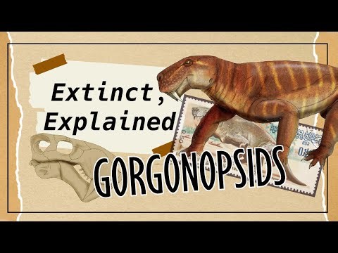 Extinct, Explained: Gorgonopsids || Permian Creatures