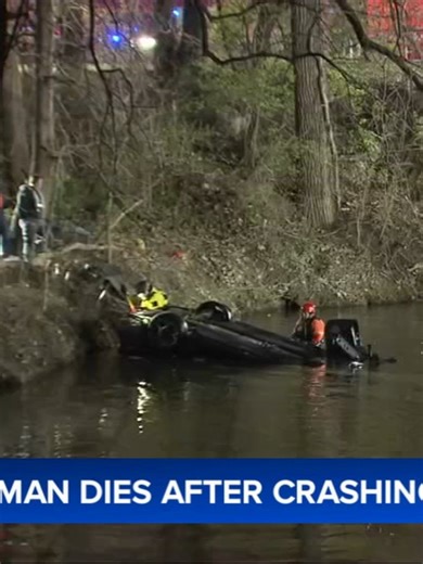 Morris police said a 21-year-old driver died after crashing into a creek in the south suburbs on Saturday night. #news #chicagonews #morris