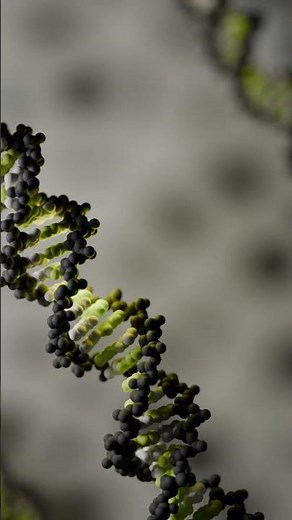 Realistic 3D DNA in Blender #blender3d #science #graphicdesign #3dmodeling #biology #dna