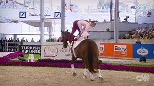 Equestrian disciplines: Vaulting