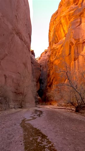 Wandering America || Travel + Adventure | Slot canyons in Utah - Buckskin Gulch in Vermilion Cliffs National Monument. Buckskin is officially one of the deepest and longest... | Instagram