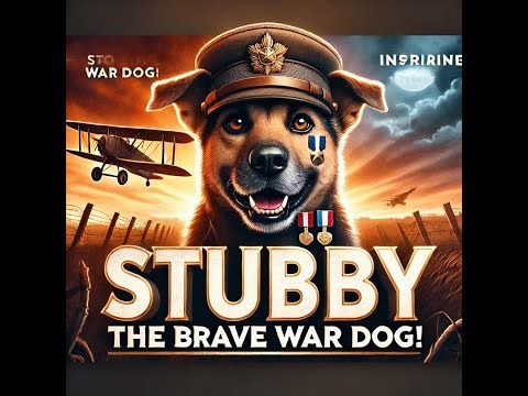Stubby – The Incredible War Dog of World War I Who Became a Symbol of Heroism!