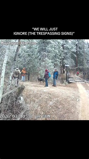 I can’t believe how entitled this family all trespassing on my land was. Hanging on my gate, and trying to pry it open, unbelievable. I’m shocked at their behavior and disrespect of someone’s home. #privateproperty #trespassing #drivewaygate #homesecurity #propertyowner