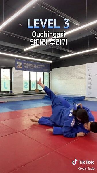 유도 발기술 모음! / Asi waza Collection🤩