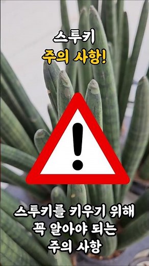 Raising a Stucky! Caution!!