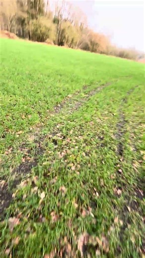 JBL Go 3 Fly test 💀