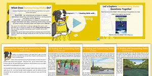 Improving Your Reading Skills with... Summarising Sheba Activity Pack