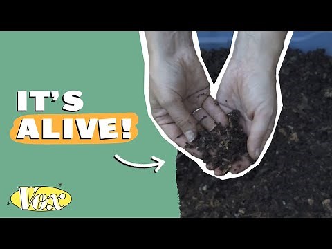 The secret history of dirt
