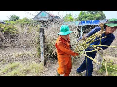 17 Minutes of SATISFYING CLEANING — Reviving an OLD ABANDONED House