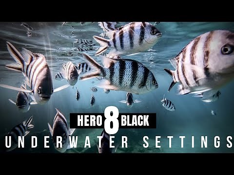 GOPRO HERO 8 Best Underwater Settings 2023