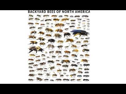 IPM Meeting: "The Bee's Needs" IPM Approach to and Ecosystem Function of Pollinator Gardens