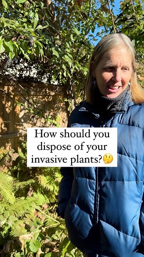 Where does it all go? I worry.😩 Some invasive weeds are practically indestructible, like Japanese Knotweed or kudzu. It is ESSENTIAL that they be disposed of properly because they can take over properties, wetlands and other protected areas. I have seen this countless times and it’s heartbreaking.😢For these ones in particular, they should be double bagged and labeled, and put in the landfill.If you have space in your yard and you do burns that may do the trick for some plants but other seeds c