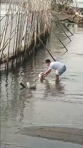 bakasyon sa Orani bataan enjoy ang mga pango #everyone #travel #pets