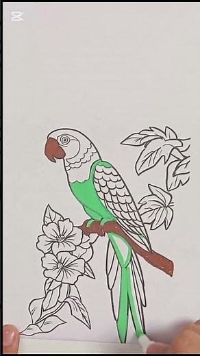 Parrot Coloring Pages #coloring #parrot #art #paint