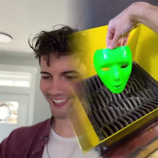 Cat burglar #cat #cats #catsofyoutube #catlovers #funny