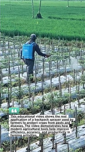 Modern Agriculture in Action: Backpack Sprayer for Efficient Crop Protection.