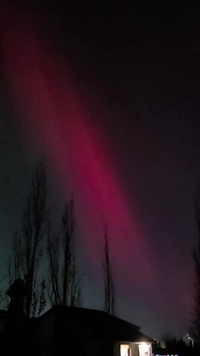 50 reactions · 17 comments | My first time seeing Aurora Borealis in solid pink color . #Amazing #highlights #everyoneシ゚ | Leslie MacMillan | Facebook