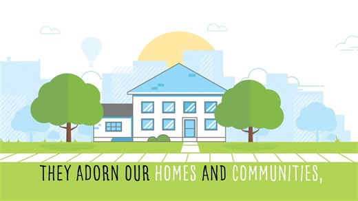 It’s #ArborDay! If you’re planting trees this spring, here are some ideas to create an energy-efficient landscaping plan (safely!).  | Coastal Electric Cooperative | Facebook