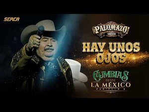 Palomazo Norteño - Hay Unos Ojos ( Video Oficial )