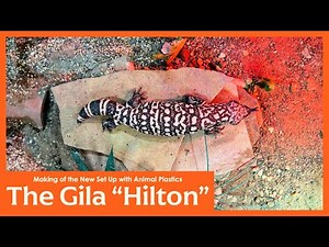 The Gila "Hilton": Making of the New setup with Animal Plastics