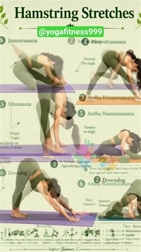 Hamstring Stretching Yoga | 6 Best Yoga Poses for Flexible Legs & Back Pain Relief 🧘‍♀️ | Daily Yoga