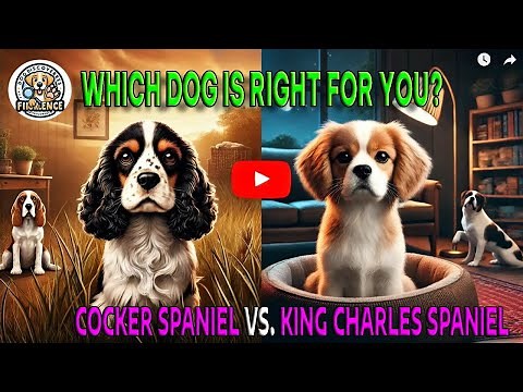 Cocker Spaniel vs. King Charles Spaniel: Which Dog Is Right for You?
