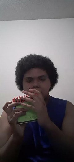 Blues Clues Steve's Handy Dandy Notebook (plastic sounds)