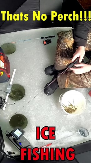 Ice fishing Fail… Ice Fishing Is Almost Here!! #icefishing #walleye #walleyefishing #firstice #earlyice #icefishingwalleye #icefishingontario #icefishingnation #icefishingnation