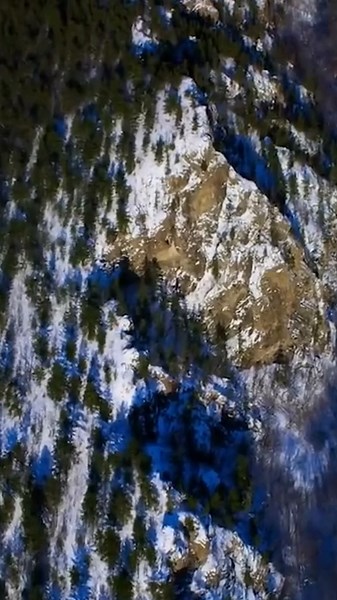 Alan Walker Smurf Cat Song Explained