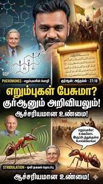 Can Ants Talk? The Hidden Science in the Quran! #tamilmuslims #shairi #islamicvideo