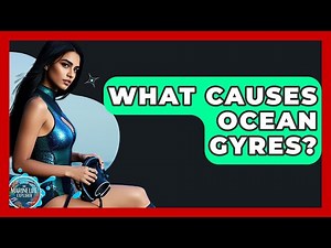 What Causes Ocean Gyres? - The Marine Life Explorer