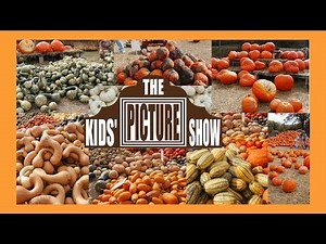 Pumpkins and Squash Vocabulary Flash Cards - The Kids' Picture Show (Fun & Educational)