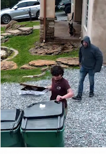 Protection Dogs: Training for Unexpected Situations