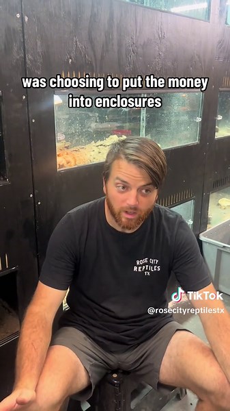 Pro Tips for Starting Your Reptile Business