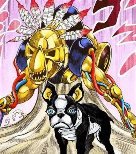 Iggy in JoJo's Bizarre Adventure
