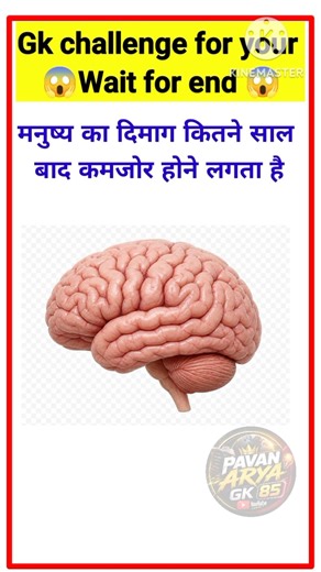 gk in hindi || gk study || br gk study || gk quiz || gk questions || gk question and answer || quiz