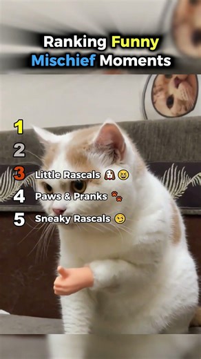 🤣 Ranking Funny Mischief Moments That Are Too Good 😂 || #shorts #mischief @Daily_take_clips