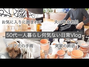 【アラカン専業主婦】夫は単身赴任50代一人暮らしの日常/新しい雑貨で自宅をパワスポ化/11歳シニア犬の去勢手術/実家の終活で植木鉢を捨活/空腹に耐える愛犬と飼主/何気ない日常vlog