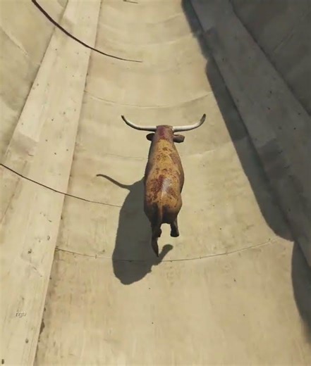 Crazy Brown Bull Parkour! 🐂🔥