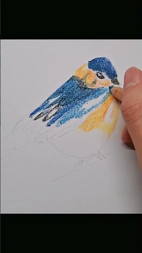 Can you draw a peep? #pencildrawing #painting #pencilart alles für anfänger , easy drawing#shorts
