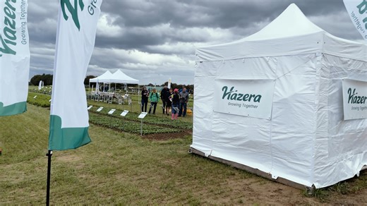 Hazera Germany Field Day 🌱 Palatinate Region We were proud to welcome over 400 visitors to our Field Day in the beautiful Palatinate, where innovation met tradition in the field. Visitors explored our latest varieties of onions, pointed cabbage, and radish, with a special highlight: a live radish harvest demonstration. Thank you to all our partners and growers for making this day a true celebration of collaboration and crop excellence. #Hazera #GrowingTogether #FieldDay #Onions #Radish #Investe