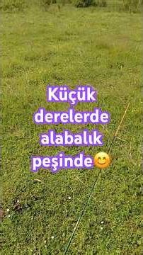 Küçük derede alabalık avı #browntrout
