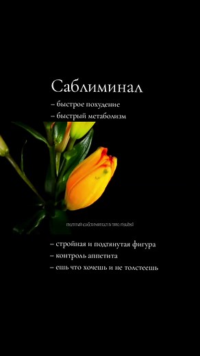 Полный саблиминал в тгк : risubs1 ‎Саблиминалы (от англ. subliminal — подпороговый) — это аудиозаписи, содержащие скрытые аффирмации, которые накладываются на музыку, шум дождя или звуки природы. Идея заключается в том, что позитивные установки записаны на очень низкой громкости или на частотах, которые человеческое ухо не может четко распознать, но которые воспринимаются напрямую подсознанием. ‎#саблиминал #subliminal #мышление #манифестация #manifestation #sub .