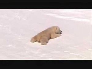 sweet caroline dance remix