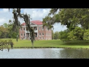 Drayton Hall Live Alligator
