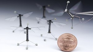 Robotic insect takes first flight, barely weighs more than grain of rice